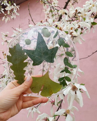 Coaster Foliage