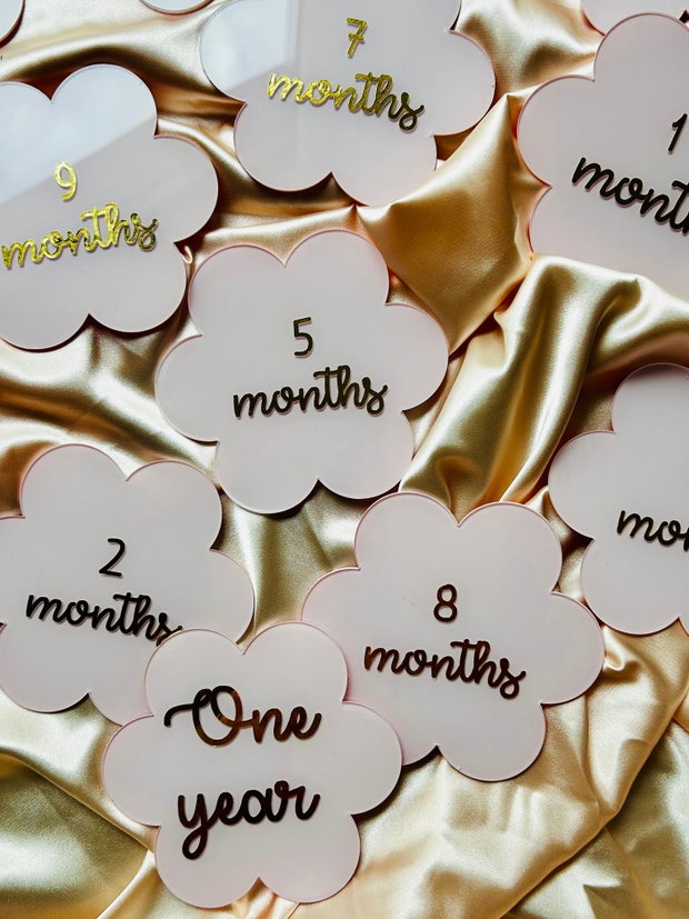 Discuri milestones bebelusi - discuri cu fiecare luna de viata a bebelusului