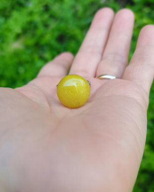 Inel Jad lemon si Argint 925 - IN1354.1 - Inel galben reglabil, inel pietre semipretioase, cadou iubita, inel cadou, bijuterii cadou, cadou sotie, cadou prietena, cadou romantic, cadou logodna, cadou prietena, bijuterii jad, cristale vindecatoare