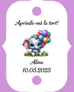Eticheta artificii tort botez/Onomastica/ Artificii tort cu eticheta personalizata