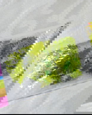 Nou/confetti diverse