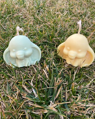 Mărturii elefant