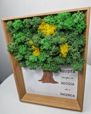 "Arborele motivației" - Tablou handmade cu licheni naturali