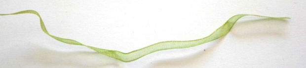 Panglica organza verde transparent