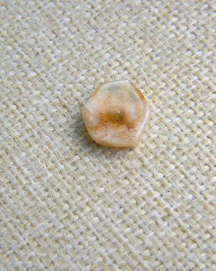 Caboson citrin (C32B)