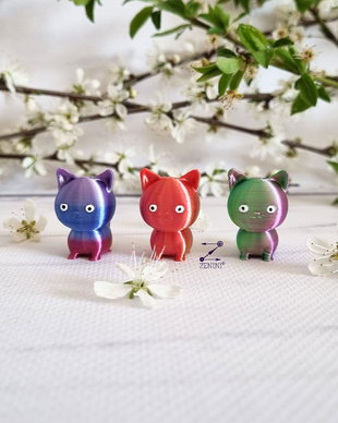 Marturie botez pisica printata 3D, marturie nunta pisica 3D, marturie botez pisica, marturii botez personalizate, marturii botez cu nume, marturii nunta cu nume