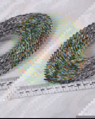 Bentita bie pt paspol