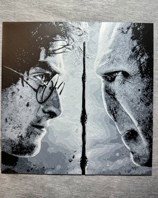 Harry Potter vs Voldemort - Tablou 3D
