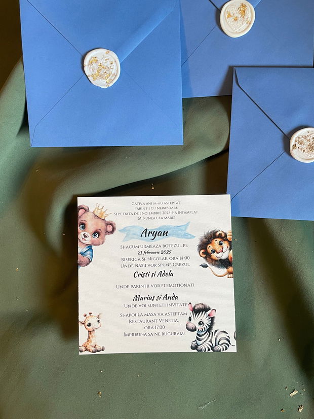 Invitatii botez