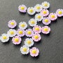 LMCB03 - cabochon rasina
