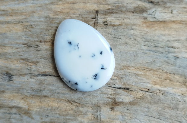 Cabochon opal dendritic, 30x23 mm