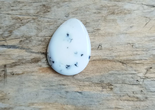 Cabochon opal dendritic, 30x23 mm