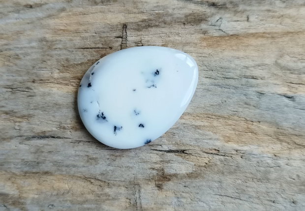 Cabochon opal dendritic, 30x23 mm