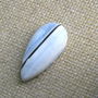 Caboson blue opal (C44)