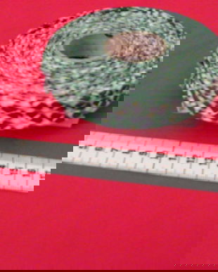 Bentita bie pt paspol