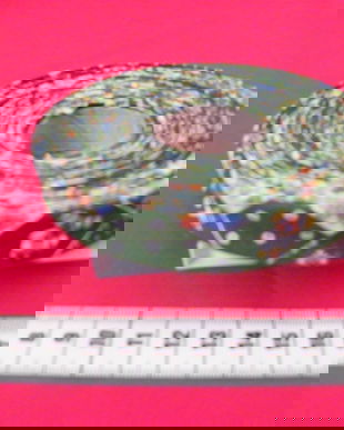 Bentita bie pt paspol