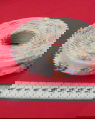 Bentita bie pt paspol