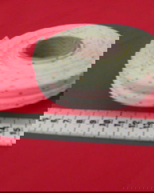 Bentita bie pt paspol