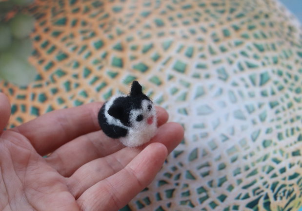 Miniatura `Pisica`