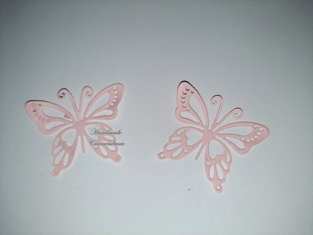 Fluturi decorativi