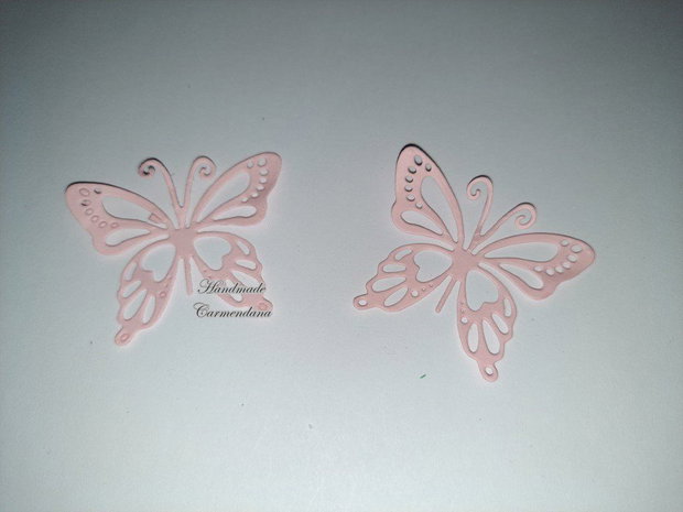 Fluturi decorativi