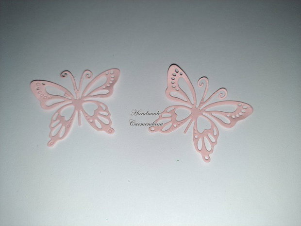 Fluturi decorativi