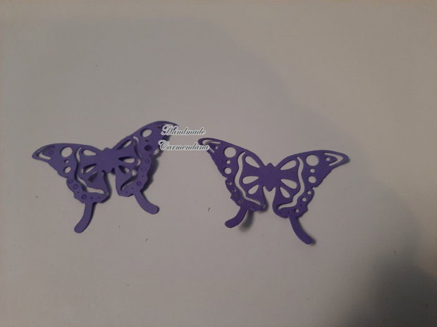 Fluturi decorativi