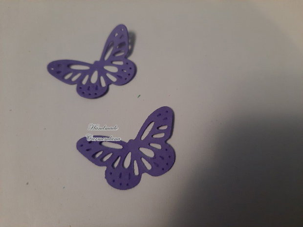 Fluturi decorativi