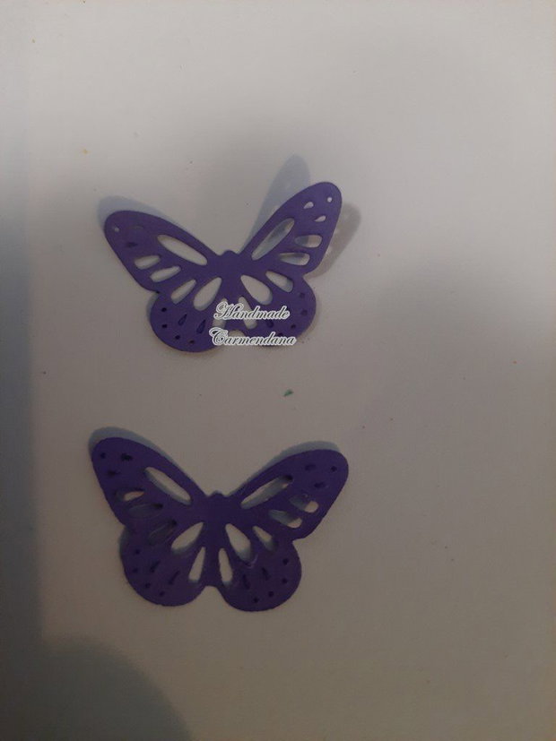 Fluturi decorativi