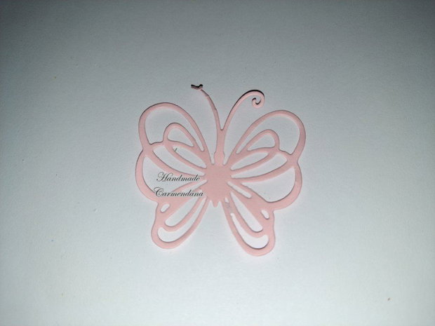 Fluturi decorativi