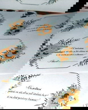 Plic de bani  cu floarea soarelui