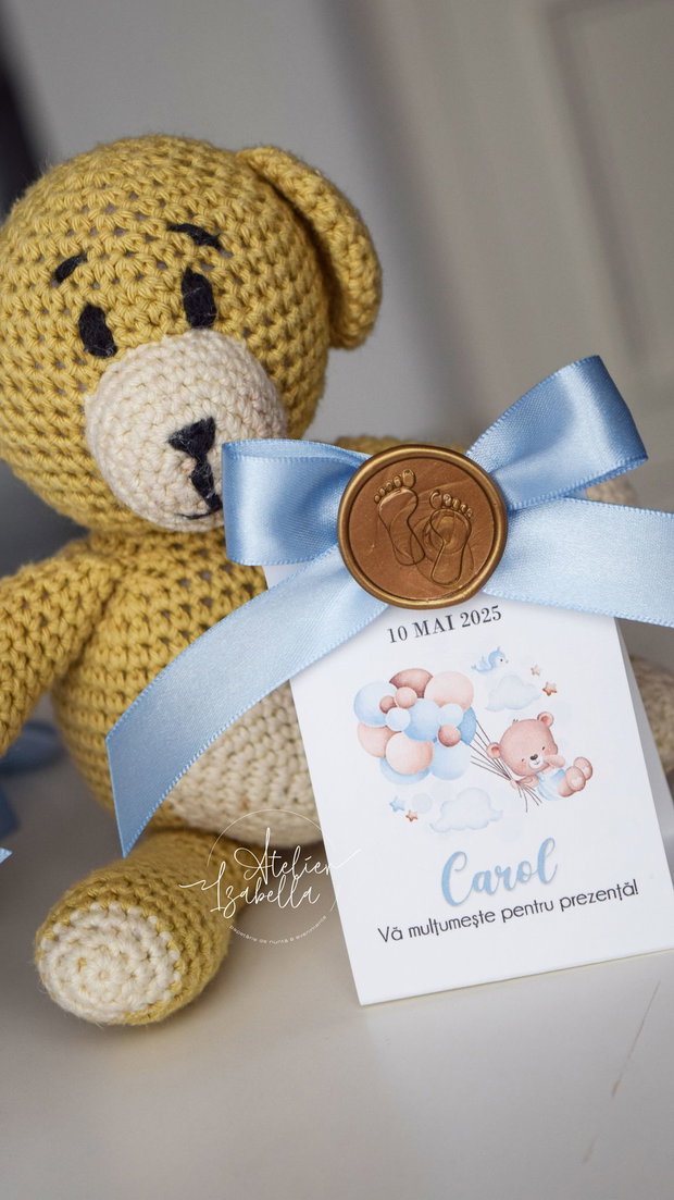 Mărturii Botez Baby Bear