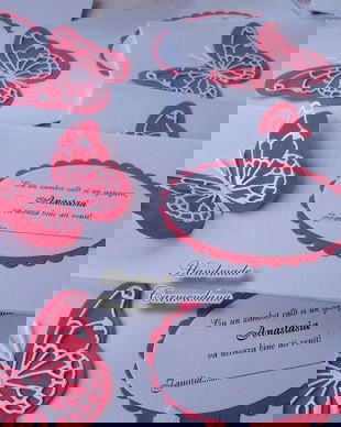 Plicuri de bani cu fluturi