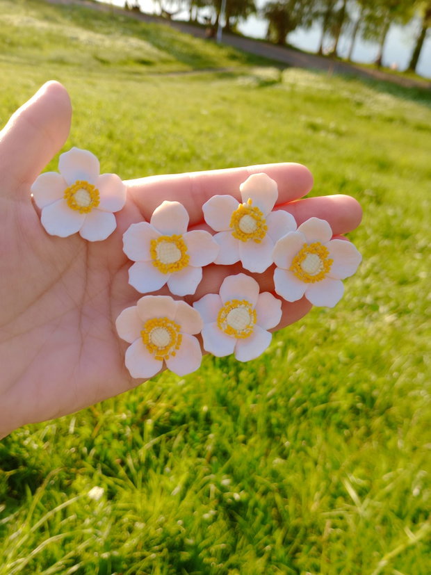 Cercei șurub Anemone de pădure