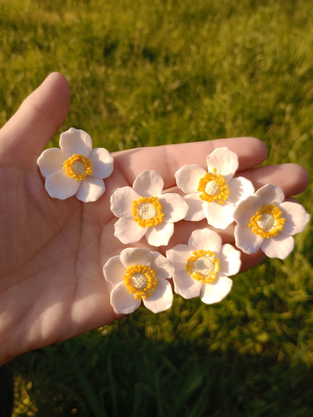 Cercei șurub Anemone de pădure