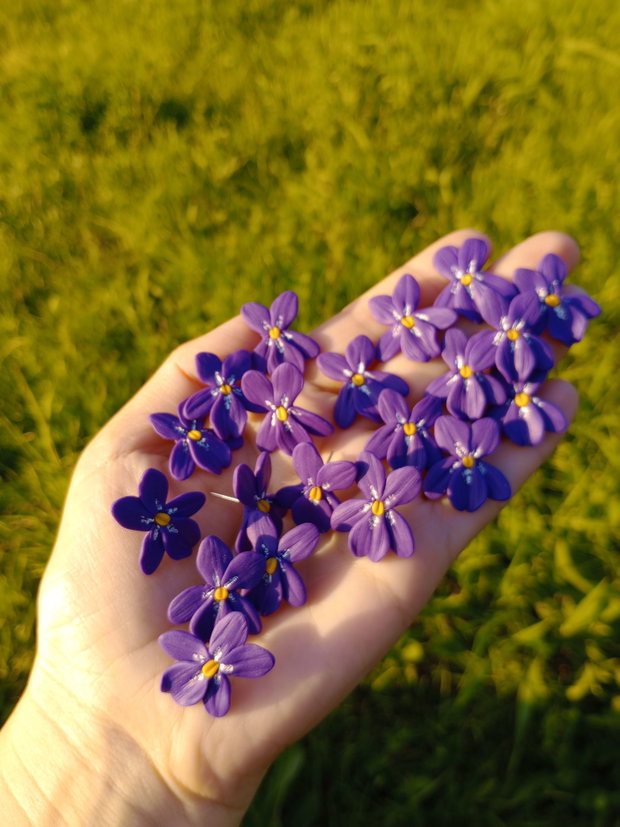 Cercei șurub Viorea (Caltunas)