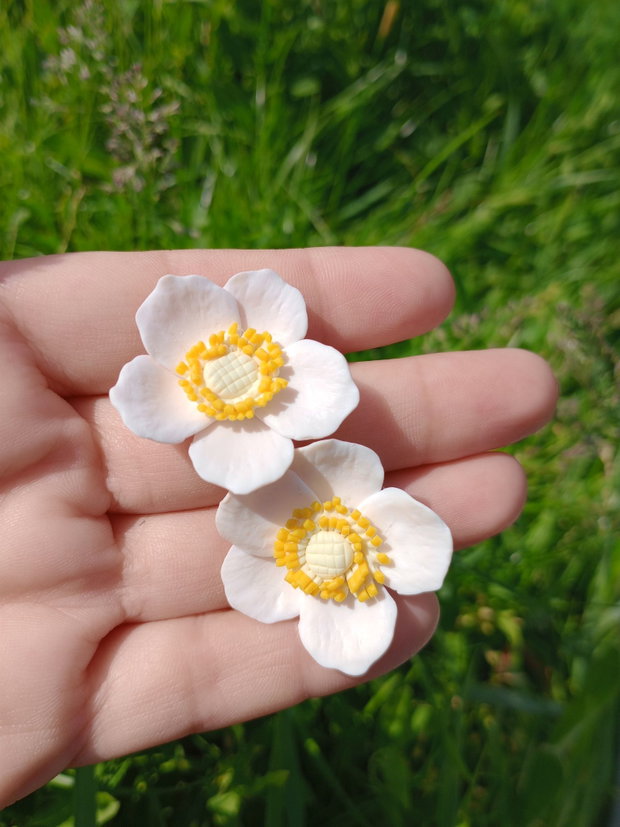 Cercei șurub Anemone de pădure