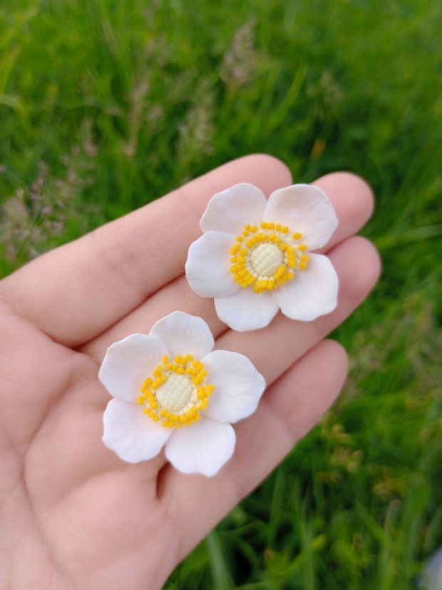 Cercei șurub Anemone de pădure