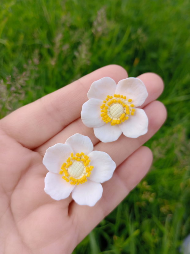 Cercei șurub Anemone de pădure