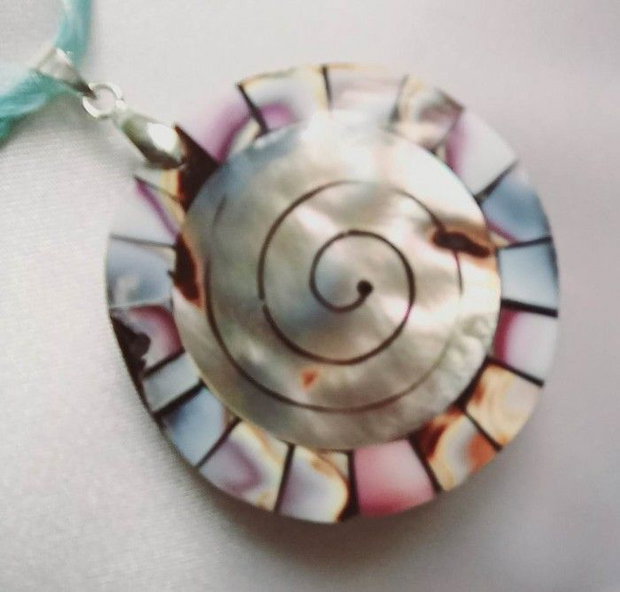 Abalone - Paua Shell