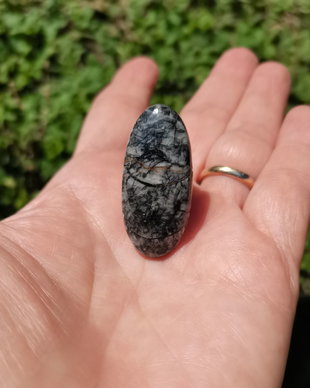 Inel Orthoceras fosil si Argint 925 - IN1401 - Inel pietre semipretioase, inel negru reglabil, cadou sotie, bijuterii cadou, inel cadou, cadou sotie, cristale vindecatoare, cristaloterapie, cristale de colectie