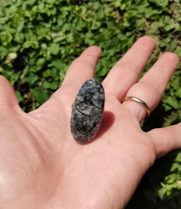 Inel Orthoceras fosil si Argint 925 - IN1401 - Inel pietre semipretioase, inel negru reglabil, cadou sotie, bijuterii cadou, inel cadou, cadou sotie, cristale vindecatoare, cristaloterapie, cristale de colectie