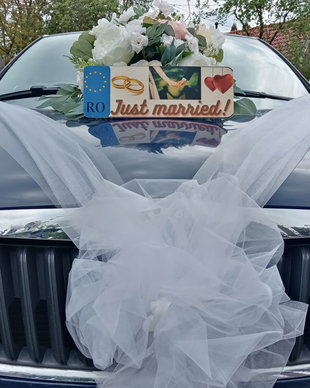 Plăcuță auto miri personalizată
