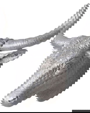 Cap de taur-decoratiune rasini speciale