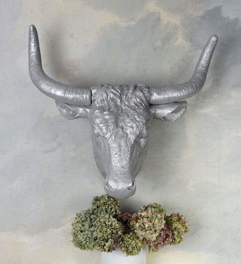 Cap de taur-decoratiune rasini speciale