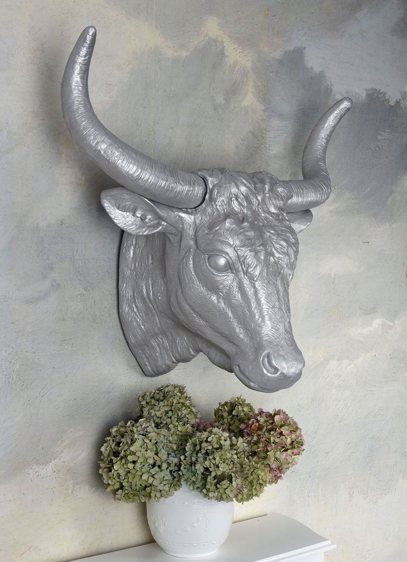 Cap de taur-decoratiune rasini speciale
