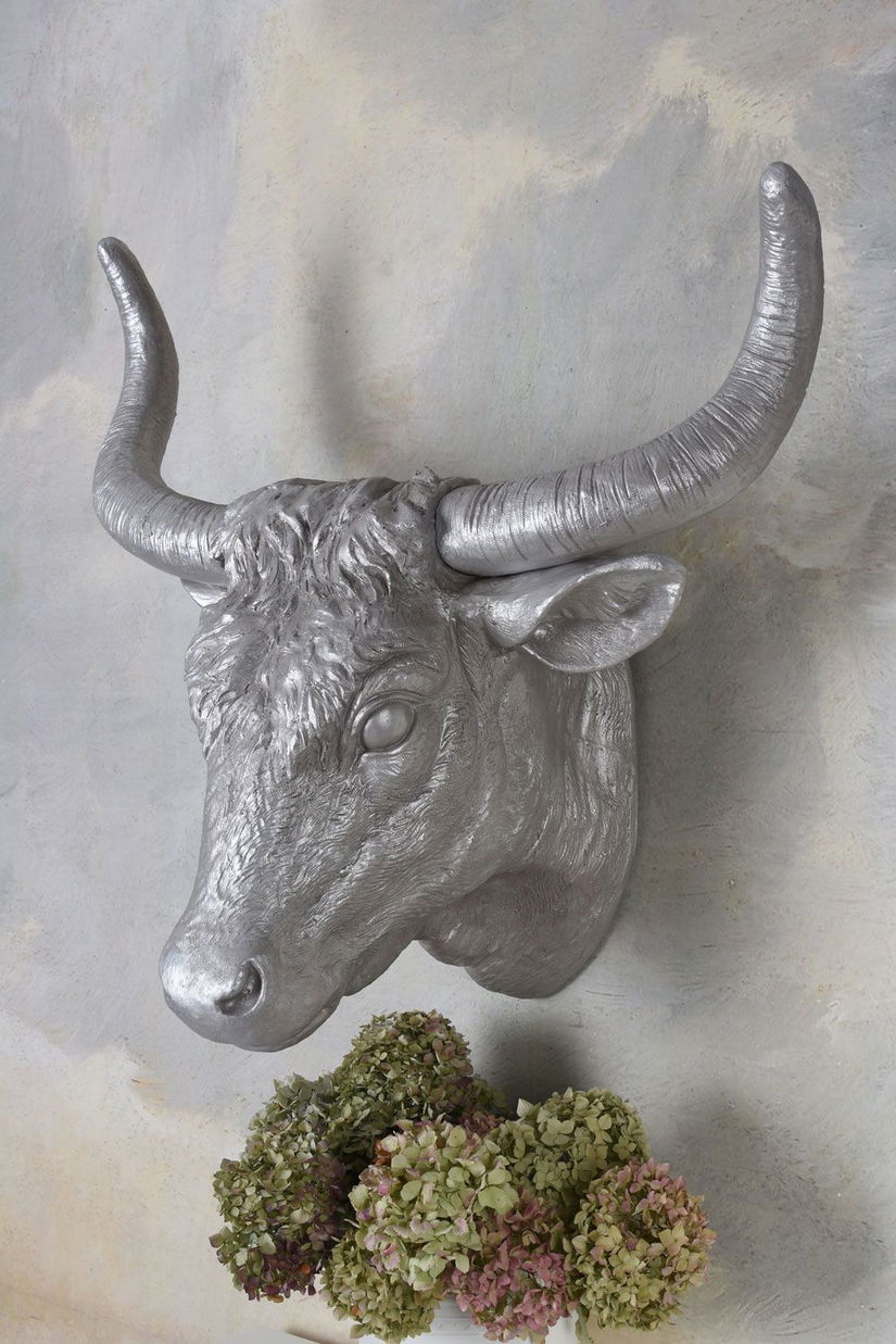 Cap de taur-decoratiune rasini speciale