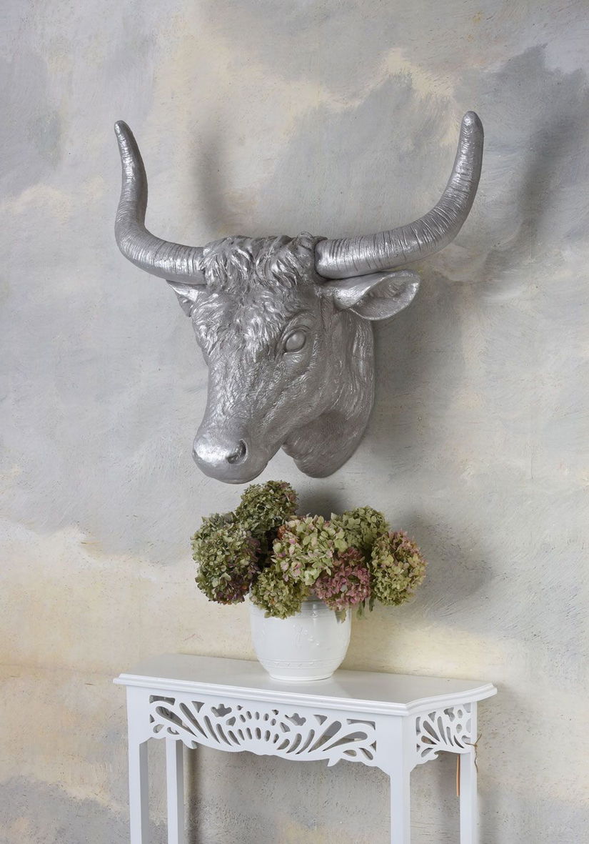 Cap de taur-decoratiune rasini speciale