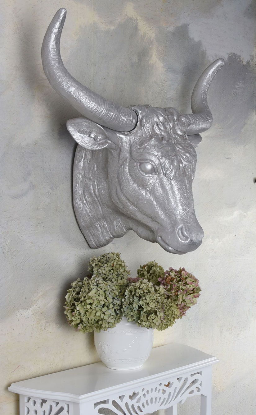 Cap de taur-decoratiune rasini speciale