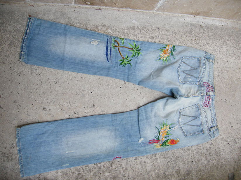 Blugi cu broderii